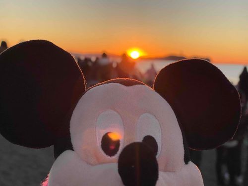 　┏┓┏┓｡･ﾟﾟ･｡｡ﾟ☆
　┃┗┛ appy☆
　┃┏┓┃　new
　┗┛┗┛　　year*ﾟ
　 ♬｡.｡.☆｡.｡♬.。.✩
みんなことしもよろしくねえ🐻🐭👍
はつひのでをみにいってきたよおーー