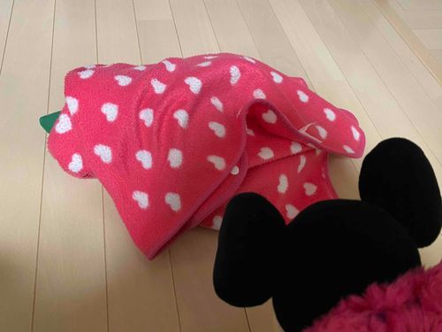 あれ、、
なんかしずかだとおもったら、またねちゃったみたいzzz
きゅうにさむくなったから、しょうがないよねえ。
きのういちにちじゅう、じしんにおこってたからつかれちゃったのかなあ。。