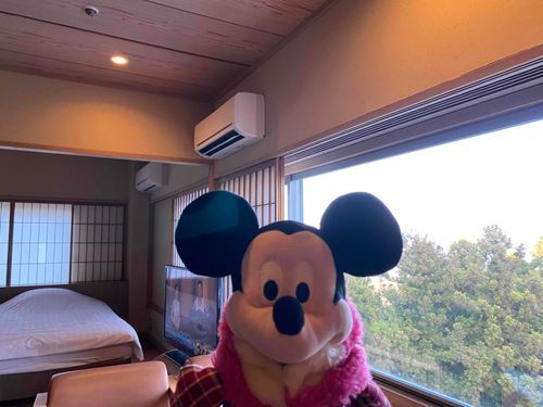 きょうはぐんまけんのしぶかわスカイランドゆうえんちにいってきたよお。🎡
そして、いかほおんせんのホテルにとまるんだよお。
ミッキーくんはおへやでおるすばんだけど、なかのひとはおんせんがたのしみなんだって♨️♨️