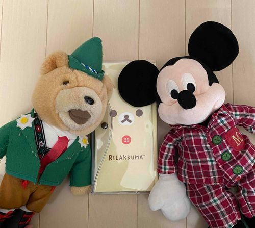 わーいわーい🐻🐭
トゥル太くんにおしえてもらった、おみくじちょうがとどいたよおおおお
しろいからカバーもかったよ✨✨