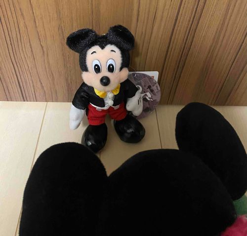 きょうはミッキーマウスとミニーマウスのたんじょうびだよー🎂🎉
ははっ✨✨
きみもたんじょうびだろうっ？？

🐭「、、、ちがうよ」