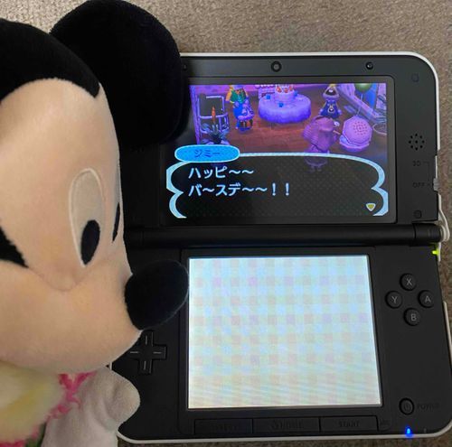 なかのひとがきょうはおたんじょうびだったんだよお。
なんかいめなのかはきかないでおいたよ🐭🫢