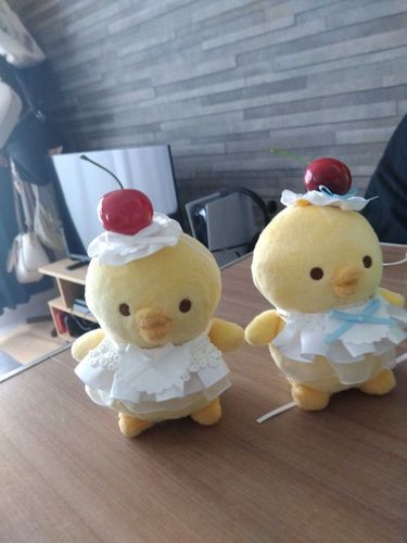 友だちのぴよちゃんとおそろコーデ(・8・)(・8・)