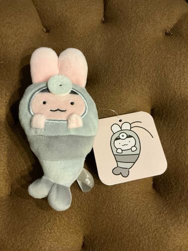 うさぎ先生
かるいやけどですね