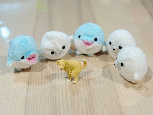 暴飲暴食のくぅ🦭とすぅ🐬🧃
ぐうたら天国のねる🦭💤あそぶ🐬🎯まに🦭💰
じゆうきままなミニビンライフ