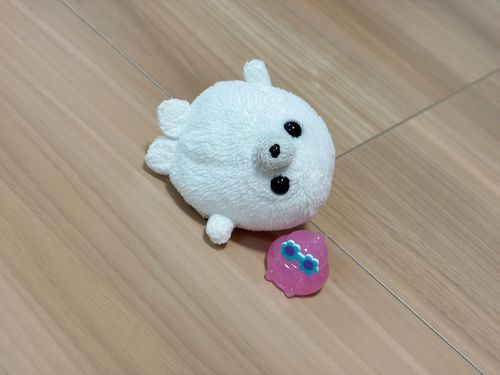 すぐ なかよち