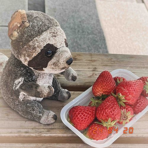🍓 ̖́-‬