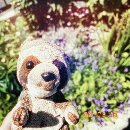 ☀️⸜🌷︎⸝‍
