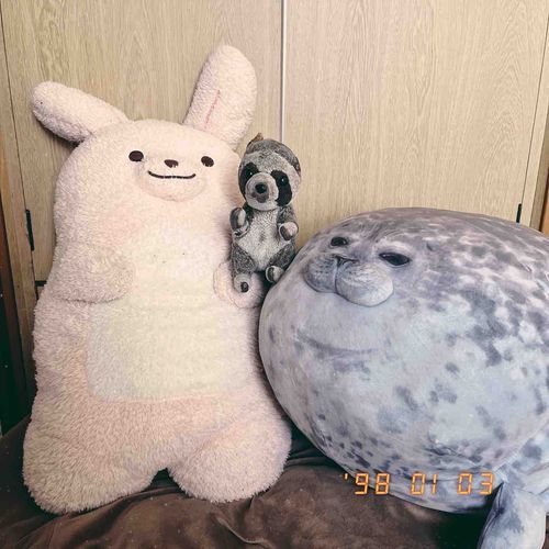 今年もどうぞよろしくねえ✨