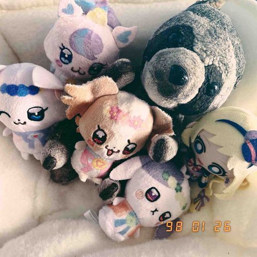 わんぷり楽しかったねえ🌸