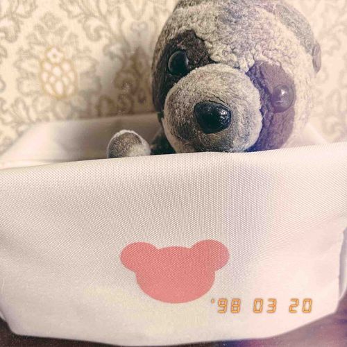 クラファンを支援してくれたぬいぐるみの一覧に載せて貰えたよ(* 'ᵕ' )☆
リターン品のポーチ可愛いね💕︎