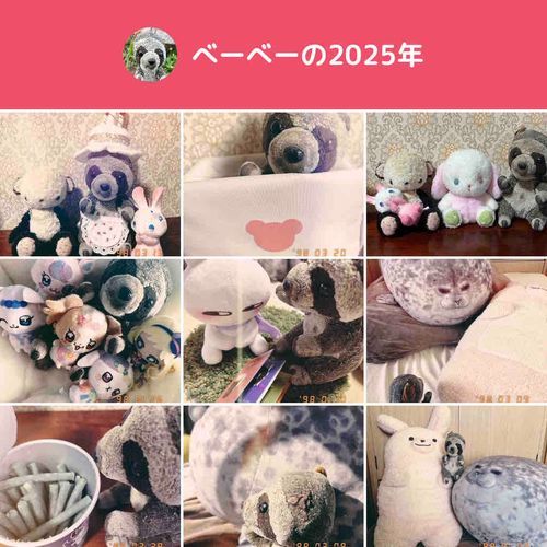新しい家族も沢山入って大家族になってきたね💕︎