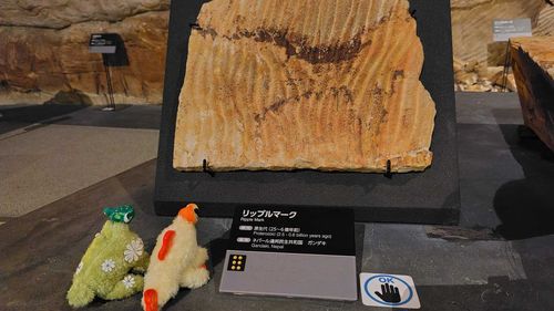 ふりゃとともだちのしゃしん
おだわらいうばしょいった
しましまふしぎ、ともだちもふしぎいった