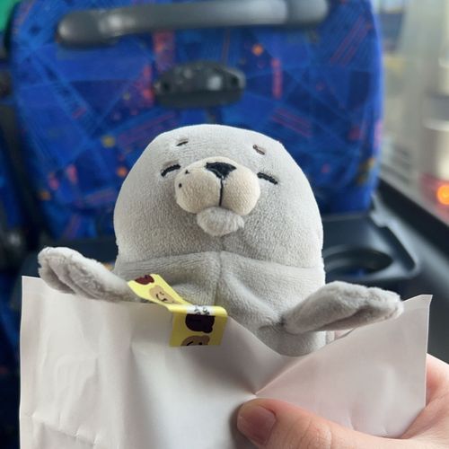 2026/03/11
初めてまして、もんちゃん