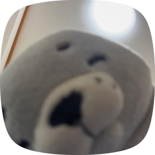 じっ…