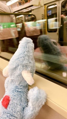 しらないけしき！わくわく！