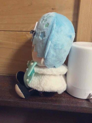 いいかげん まともな カメラアプリで わたしを とってほしい ですな
ノーマルカメラと ついったのフィルターでは げんかいが ありますな