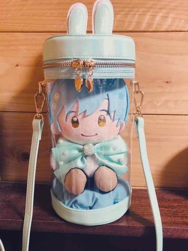 あしたは あるじと ディズニーに いくので かばんで ねてね との しゅめい ですな