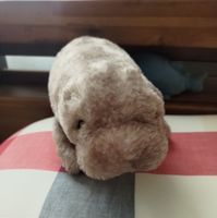 こんぶ