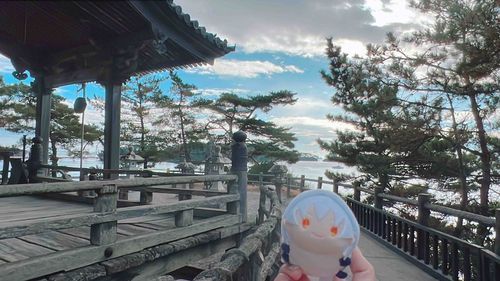 まつしま きれい だな〜
あるじは うんてんだから おれが いちのくら のんであげる😢