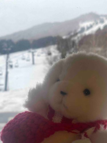 スキーに来たよ⛷
全然滑れない…！！