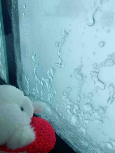 窓が凍ってる…！！！❄️ 