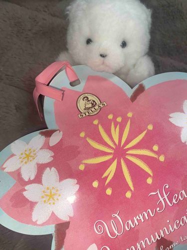 今日卒業しちゃった先輩がくれたよ🌸
ちょっぴりさびしい…
