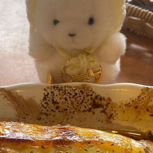 部活終わりにびっくりドンキーきたよ🍝
イカの箱舟はじめてたべた…！