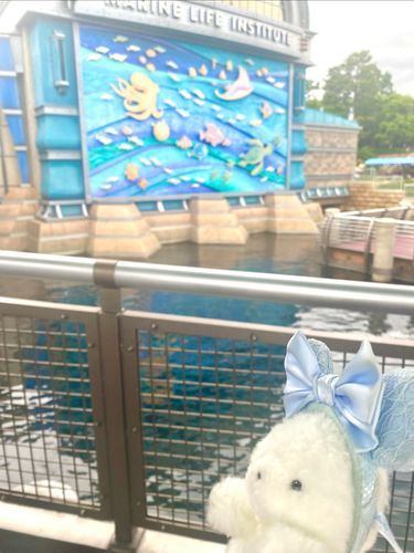 ディズニーシーに行ってきたよ🌋
25周年でいろんなイベントやってて楽しかったね🎶💙
いつかディズニーランドも一緒に行こうね🏰