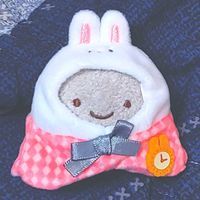 ほこりん(ほこり)