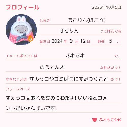 おひさしぶり、ほこりんだよ!
かんたんなぷろふぃーるがあるみたいなので、チョコっとかいてみたんだ!