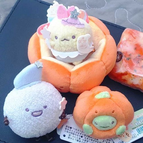 とりっく・おあ・とりーと！はっぴーはろうぃんです！
えびてんのしっぽです。ほこりんさんとざっそうさんとおめかししました。
さいきんはやりのピザソルギといっしょにパシャリ。