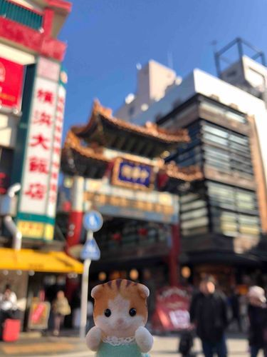 おっきいとこでもしゃしんとったよ♪