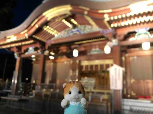 とうきょうのおしゃしんのせるのわすれてた！にんげんはいちにちかいぎだったから、よるにちょっとしたかんこうでゆしまてんじんさんにいったよ♪