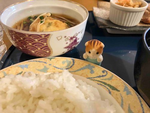 にんげんさいきんまたいそがしいの〜。じかんみてまたつぶやくね！これはこのあいだにんげんとらんちしたやつ。こめをたべよう！