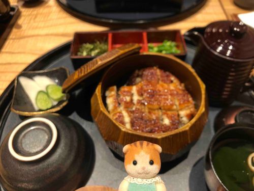 ぎふけんのあとはなごや！ひまつぶし！じゃなくてひつまぶし！ちょーおいしかった！