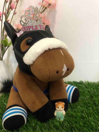 りょこうのめいんのちゅうきょうけいば！うまじょすぽっとであーもんどあいちゃんとつーしょっと！おうまたくさんみてきたよー！