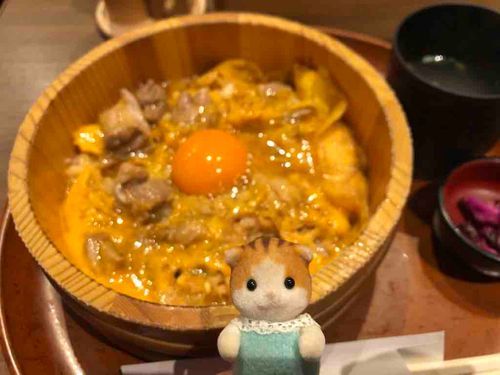 あとはなごやこーちんたべたー！いっぱいおいしいものたべてしあわせりょこうだったよ！