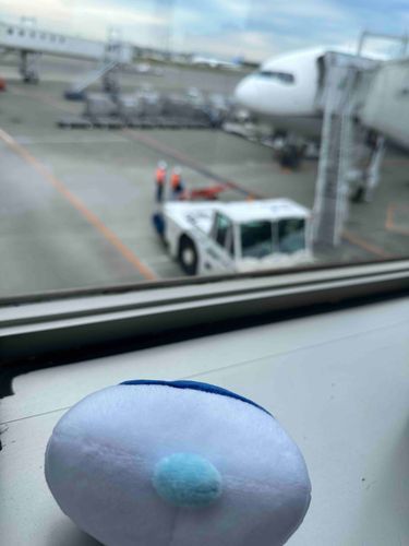 ここはどこ、だ、、？