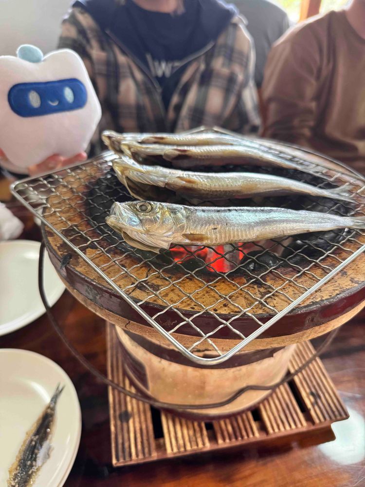 先日は仲間と合宿に行ってきました🐟
日常から離れてみんなでワクワクする未来のことを考えたり、アクティビティをしたりしてリフレッシュになりました🌿