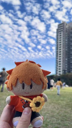 日向を連れてピクニックに行ってきたよーー🧺