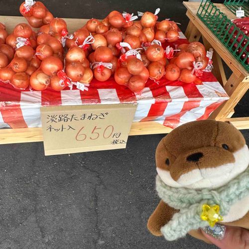 おこげたまねぎきらい