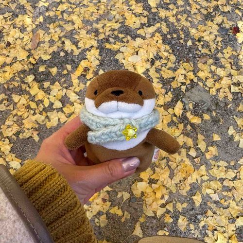 きれいな　いちょうの　葉っぱが
いっぱい　おちてたっす〜！！
そういえば　このマフラーは　かいぬしがつくって　くれたんすよ〜⭐️