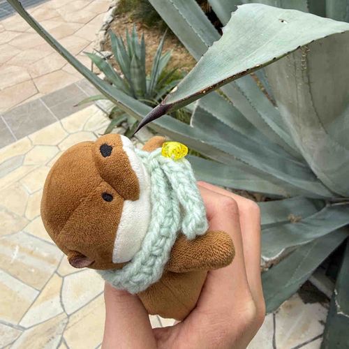 あ、あぶない　ささるっす