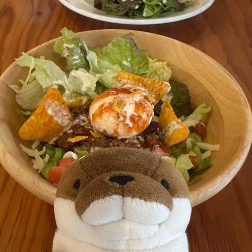 たこらいすっていう　ごはんらしいっす！　そういえば　たこ　はいってなかったっすよ？？？