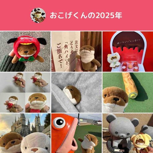 ことしも　たのしいこと　いっぱいで
幸せ　だったっす！　みんな　らいねんも　よろしくっす~🍙