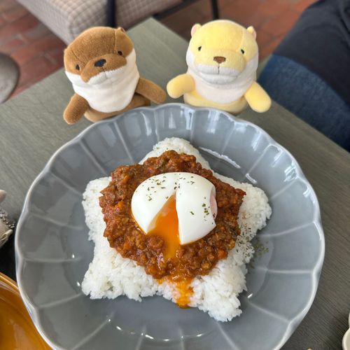 ドライカレー! ごはんが星の形で可愛かったっす！
はんじゅく卵…🤤