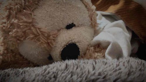 おやすみなさーい…zzz🧸