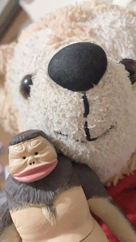 僕の友達を紹介するね！
去年のクリスマスにお家にきたの☆売れ残ってて可愛いそうだったらしい(°▽°)
某お笑い芸人に似てるからハマハマって名前にしたんだ笑！皆んなよろしくね♡