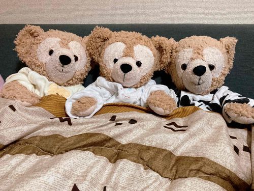 ぬくぬく〜🧸🧸🧸今年のコタツデビューは少し早め☆冬への準備万端！！
季節の変わり目だから体調気をつけようねー🧸